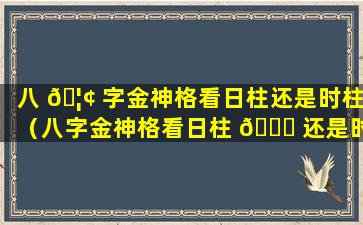 八 🦢 字金神格看日柱还是时柱（八字金神格看日柱 🐟 还是时柱好）